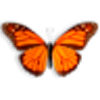Butterfly On Desktop last ned